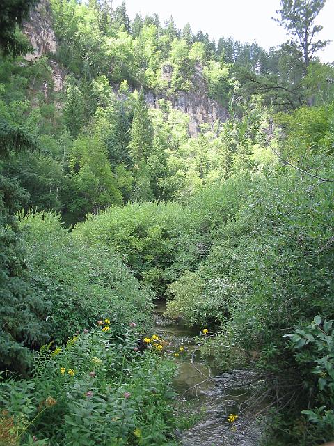 Spearfish Canyon166.jpg